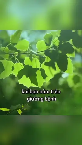#ýnghĩacuộcsống #tamsucuocsong #tramcamxuc💔 #caunoihay #trietlicuocsong 