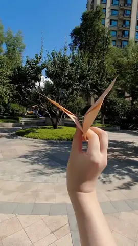 Make a universal kite airplane paper tutorial  best paper airplane  crafting kite ideas  easy craft kite origami airplane  #kite #airplane #origamidz #paperplane #papercraft 