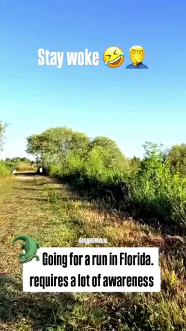no thank you😭 Follow for more #fyp #funnytiktok #wildlife #morningrun #animalsoftiktok #animals #Running #florida #funny #explorepage #mrw_004 