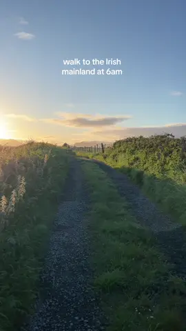 This weekend I visited my Dad in Sligo in the West of Ireland. We stayed on a magical island which is only accessible when the tide is out so this is what the morning commute to the airport looked like ✈️#ireland #sligo #traveltiktok #traveltiktok #travelbucketlist #peaceful #westofireland 