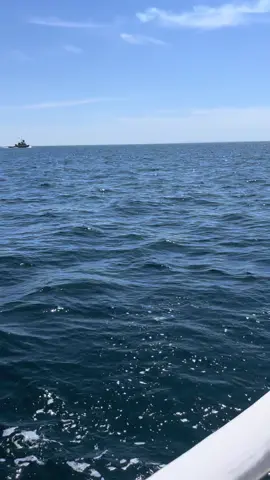Sailing up to Salisbury MA from East Boston. 