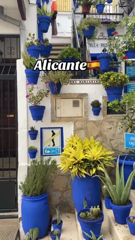 Alicante 🇪🇸♥️#adelhisham #اسبانيا🇪🇸_ايطاليا🇮🇹_البرتغال🇵🇹 