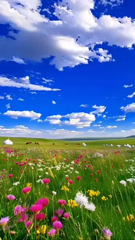 #♥️ الله بلاني 😘حبو بلاني 😍