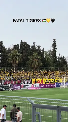 CUVRA NORD 🖤💛🇵🇸  #fyp #fataltigers #gialonero #fypシ゚ #palstine🇵🇸 #ultras 