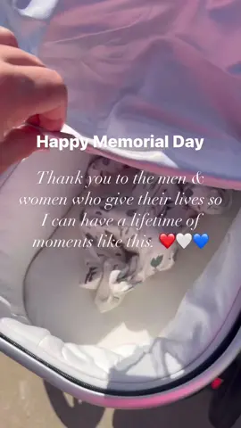 Happy Memorial Day and God bless! Thank you to all who sacrifirced for us🙏🇺🇸#memorialday #thankful #blessed 