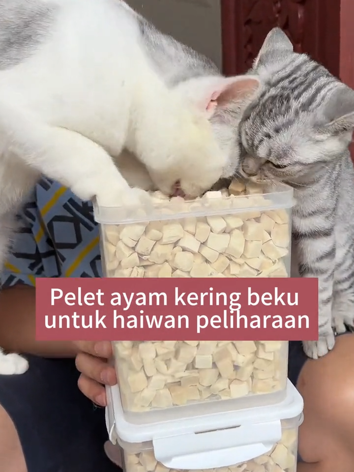 Six months in a bucket,，Freeze-dried chicken breasts for cats Chicken pellets Premium freeze-dried chicken treats for pets freeze-dried bucket#fyp #foryou #cat #food #funnyvideos