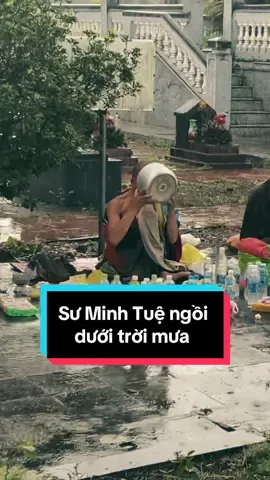 Cảm động sư Minh Tuệ ngồi dưới mưa...#suminhtue #thichminhtue #daophat
