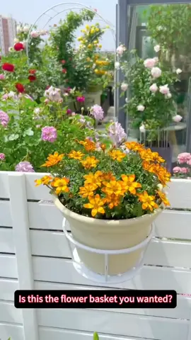 Gardening hanging blue can be hung on the railing, anti-theft Windows and other places, which is beautiful and saves space, and does not occupy a place #gardening hanging basket #hardware #fyp #tiktok #foryou #goodthing 