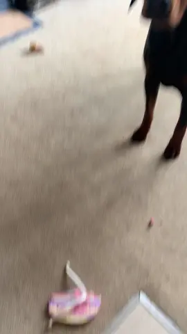 Mmmmmmm.. who was it? 🤣🤣🤣🤣