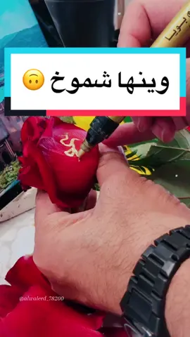 منشنوا شموخ 👋@شموخ🦅🐎 @شموخ @شموخ ❤︎.. @شموخ👑👑 @شموخ ✨🐆 @شموخ حربيہ @شموخ ﮼العز 🇸🇦🎀 @شموخـہ صنعانيـہ🇾🇪⋆ @شموخ بنت إب 😎🇾🇪 @شموخ آلسعوديه vip 👑🤍🇸🇦♑️🥷 @شموخ 🤍 @شموخ @شموخ سعودية @شموخ المالكي @شموخ 🇸🇦🇦🇪 @شموخ سبعاويه📸 @شموخ امرأة @شموخ ❔امـــراة 🫶🏻❓ @شموخ☀ @شموخ شوشو🐆🧿 @شموخ 💕 @شموخ العز @شموخ امرأة miro🇱🇧🇱🇧🇱🇧 @شموخ 🍁. @شموخ..🇨🇦.🌹🌹 #خطي #خط #الخطاط_وليد_النمي #شموخ #اكسبلور_تيك_توك #اليمن #فلسطين🇵🇸 #السعودية #الكويت #block2024 #صلوا_على_رسول_الله🤲🕋 #كتابة_عالورد #مشاهير #كتابة_اسماء #طلباتكم 