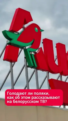 Голодают ли поляки, как об этом рассказывают на белорусском ТВ? #беларусь #польша #цены #сравнение #покупки #продукты #магазины