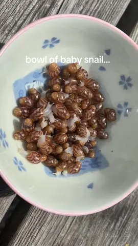 *hands you a bowl of baby snails* here. #snail #bug #weird #cute #stim 