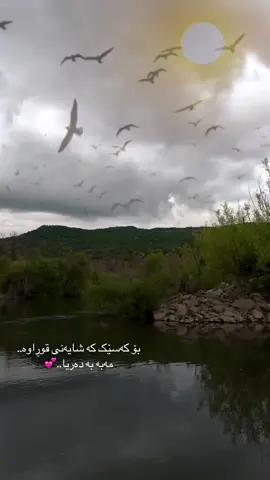 #fypシ #foryoupage #kurdistan #معین 