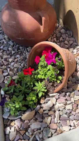 Oops, my pot fell over!  If you want to create this fun and easy garden art, here’s how.. 🏺Turn your pot onto its side 🪨 Place some rocks underneath to balance it slightly 🌹Compact the soil inside the pot to prevent it from running out 🌺 Add more soil to the bottom where it will spill out 🌼Start adding your flowers of choice 🤚 Place your hand in the soil to lift and position the flowers, then backfill with more soil as needed And you’re all done!  It’s so fun and easy to add unique garden art to your yard! #yardart #gardenart #fallenpot #creatorsearchinsights #potteryinthegarden #inthegarden #gardendesign #gardenlandscapingideas #gardenoasisbackyard #gardenoasis #backyarddesignideas 