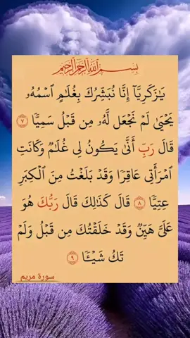 #quran_alkarimسورةالأخلاص☝️☝️🕋🕋🤲🤲🤲🤲 #لا_اله_الا_الله_محمد_رسول_الله🎧🌿🤍 #نه_به_جمهوری_اسلامی_اشغالگر_ایران #القران_الكريم_راحه_نفسية💙🎧📚🕌🕋 #🕋📿🕌regay_islam🌼🦋🤲 