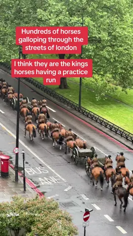 Hundreds of horses galloping through the streets of london  I think they are the kings horses having a practice run #horses #horsesoftiktok #999 #police #londonnews 