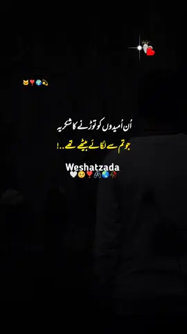 شکریہ جاناں 🥹🥀💔#urdupoetry #sadpoetry #sad  #statusvideo #trend #viral #foryou #fyp #brokenheart #wahshatzada #wahshatzada08 