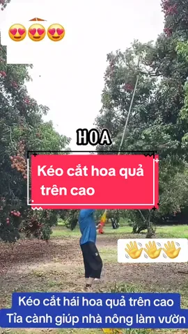 Kéo cắt cành, hái hoa quả trên cao #xuhuong #trending #keocat #keocatcanh #keocatcanhcay #keocatdanangsk5 #keocathoaquatrencao #keocathoaqua #keocattrencao #vairal 