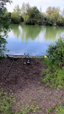 Let’s smash this summer with some big carp! ☀️🎣 #fyp #foryou #foryoupage #fishing #fishinglife #fishtok #angler #carpfishing #nayzofishing #viral 