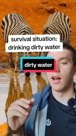 #greenscreen #homestead #offgrid #selfsufficient  #permaculture #offgridcabin  #selfreliance    #offgridliving  #prepping #doomsday   #shtf #foodstorage 