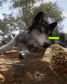 #animation #wolf #comedia #kids #viral 
