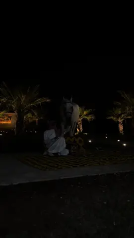 #خيل_وخياله🐎 #اكسبلور 