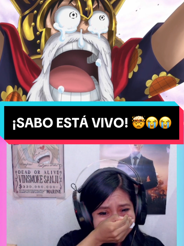 Reacción a la reaparición de Sabo. ¡¡Sabo está vivo!!. Reencuentro de Luffy y Sabo #onepiece #onepieceanime #onepiecereaccion #luffy #luffyonepiece #luffyedit #reacción #reactions #nakama #nakamaslatam #onepieceepicmoment #onepiecefunnymoment #funnymoment #onepiecememe #mugiwaranoluffy #gear2 #gear3 #zoro #zorororonoa #sanji #sanjionepiece #mugiwara #trafalgarlaw #lawonepiece #torao #luffyxlaw #doflamingodonquixote #doflamingo #aceonepiece #portgasdace #merameranomi #dressrosa #dressrosaarc #foryouanime #foryou #fypシ #bartolomeo #bartolomeoonepiece #barto #onepiecefan #animetiktok #winnyonepiece #franky #nicorobin #fujitora #fujitoraonepiece #sanjimihombre #ussoland #bellamy #sabo #saboonepiece #saboxace #saboxluffy #koalaonepieceedit #saboxkoala #otakugirl#streamergirl