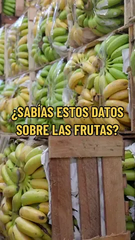 En Perú tenemos muchas variedades de frutas de las cuales debemos sentirnos afortunados! 😊 Detrás de cada fruta hay una historia, por eso fuimos al mercado de frutas a conocer un poco más, puedes ver el video completo en mi canal de Youtube! #GiacomoBocchio #mercadodefrutas #platano #peruvianfruits #peruviancuisine #food #cheflife #elgrancheffamosos 