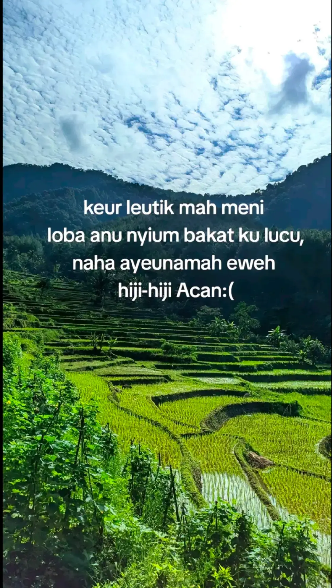 Bagian 33 | #😇 #aa #story #storysunda #sundakeun⚡ #sundapride #catsoftiktok #sundavibes #storysunda🥀 #funny #fypp #fypシ゚viral #fy 