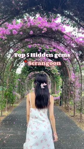 Here’s our top 5 hidden gems in Serangoon you must visit this holiday! ✨ 📍 Japanese Cemetery Park, 825B Chuan Hoe Ave, Singapore 549854 📍 Cafe Gyoen, 55 Serangoon Garden Way, Garden Estate, Singapore 555951 📍 myVillage rooftop, 1 Maju Ave, Singapore 556679 📍 The Better Scoop, 264 Serangoon Central, 01-203, Singapore 550264 📍 Ding Te Le, 949 Upper Serangoon Rd, Singapore 534713 . @Cafegyoen 🍙 Serangoon Gardens  . . #singapore #sgfoodie #hiddengems #sggowhere #dateideassg #serangoon #heykakisg #kakigowhere 