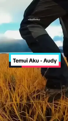 Temui Aku | Audy.#temuiaku #audy #audyitem #popindonesia #lagunostalgia #music #lyricsvideo #liriklagu #lyric #storywa #xyzabc #trending #fyp  @N I N A 