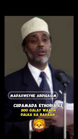 Habargidir waliga haka shakin 👑 #habargidir #habargidirnimo🤍💚💙 #saleeban #ceyr #sacad #saruur #galmudug #galmudugnimo💙🤍💚 #abgaal #hirshabelle #somaliland #puntland #jubaland #konfurgalbed #hawiye #isaaq #darood #somalitiktok #somalilandtiktok #muqdisho #somalia 