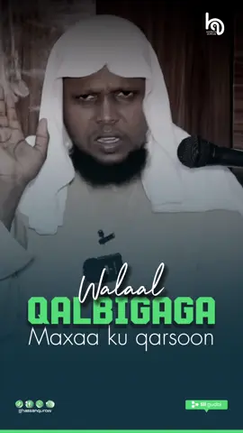 Qalbigaaha maxaa ku qarsoon? #sheikhabdikarim  #share  #followus  #foryou  #mogadishu  #somalia 
