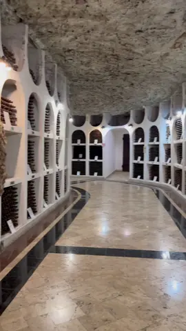 #Explore the town under a town with me! #CricovaWinery 🍷 #Underground #Wine #Winery #Cricova #tour @cricovawinery #Moldova #🇲🇩 #beautifuldestinations #winetour #foryoupage #fyp #fy 