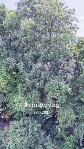 #erinnerung 