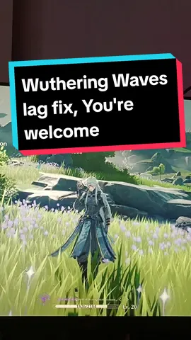 Literally such a simple fix and don't ask me why it works because idk! #wutheringwaves #wuwa #wutheringwavesgameplay #rpg #animegame #kurogames #pcgamer #gamefix #lag #fypage #foryoupageofficiall 