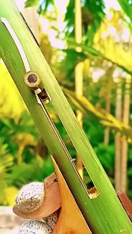 Just amazing idea from bamboo#bamboo #bambooart #DIY #toy #viral #foryou #slingshot 