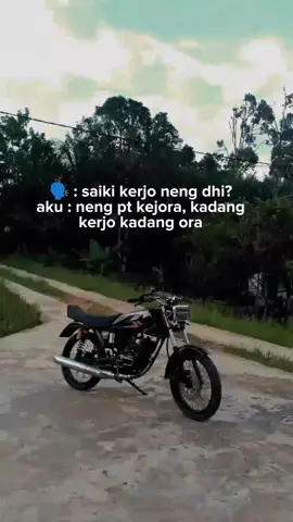 #rxking135cc #biangkerok #CapCut 