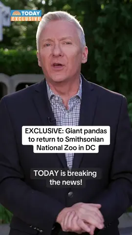 #GiantPandas are SO back at the #SmithsonianNationalZoo! After a tearful goodbye in November when the last three resident pandas were returned to China, two new giant pandas will be calling the zoo their home. #TODAYShow #Pandas
