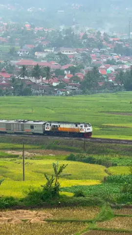 Deru lokomotif CC206 menarik KA papandayan menikung dan menanjak di tiber kadungora #pemandangan #kai #keretaapi #keretaapiindonesiapersero🇮🇩 #keretaapiindonesia #railfansindonesian #railfans #keretaapikita #masinishits 