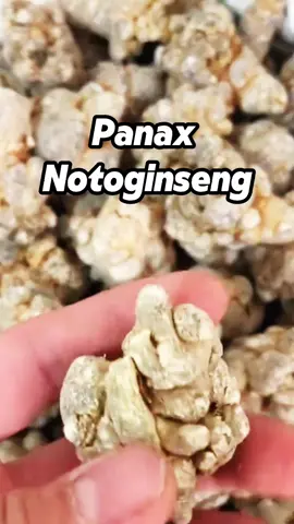 Panax notoginseng: a natural herb that promotes blood circulation and stops bleeding, and is a good choice for protecting health #sanqi #chineseherbs #healthyfood #healthycare #nutrition #business 