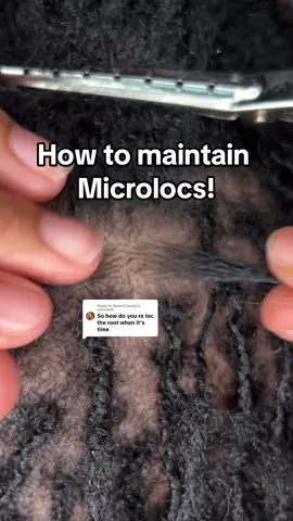 Replying to @QueenCausey this is how I maintain the new growth I got our locs! #microlocs #microbraids #microinstall #diymicrolocs #braidedlocs #braids #interlocking #retightening #locs #diylocs #keairyagynene 