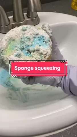 Replying to @isthatshaparis thank you for the combo request!! Had to do some sponge therapy! Hope you enjoy #CleanTok #fyp #asmr #sudsy #cleaningtiktok #asmrsounds #satisfying #scrubbingasmr #cleaning #sudsycleaning #foryoupage #sudsyasmr #sinkclean #spongetherapy #spongesqueezing 