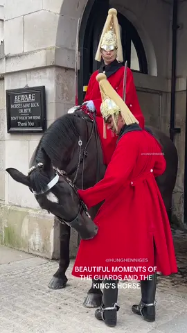 BEAUTIFUL MOMENTS OF THE GUARDS AND THE KING’S HORSE #thekingsguards #beautifulmoments #horseguards #viral 