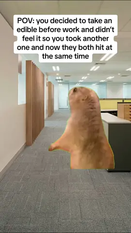 #CapCut #memes #workmemes #corporatelife 
