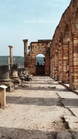 وليلي -مكناس 🇲🇦❤️ أو volubilis باللغة اللاتينية ، والتي أسست في القرن الثالت قبل الميلاد على يد الرومان الذين جعلوا منها إمبراطورية و مخفرا مهما لهم.فخصوها ببنايات و آثار بديعة،و التي أصبحت فيما بعد ولفترة قصيرة عاصمة إدريس الأول مؤسس الدولة الإدريسية، وهو مدفون غير بعيد جنوب شرق وليلي، أضحت حاليا موقعا أثريا مكشوف عنه جزئيا في شمال مدينة مكناس، شمال المغرب📍🇲🇦❤️. #oualili #volubilis #oualili #volubilis #oualili_meknes_morocco #meknes #meknès #morocco #maroc #marocaine #marocco #maruecos #marueccos #moroccotravel #moroccanhistory #rome #romain #history #وليلي #المغرب #مكناس #مكناس_الغالية_العاصمة_الاسماعيلية #تاريخ #تاريخي #filmmaker #cinematic #filmmaking #moroccansahara #explore #reels #fyp