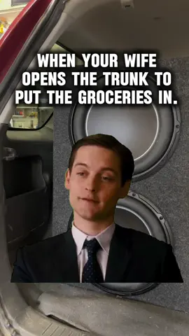 I swear i’ve never seen those before 👀 #precisionaudiovideo #fypシ #fyp #viral #funny #meme #caraudio #jlaudio #bass #car #carscene #carsoftiktok 