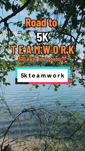 #under5k #teamwork #teamworkmakesthedreamwork #foryoupage 