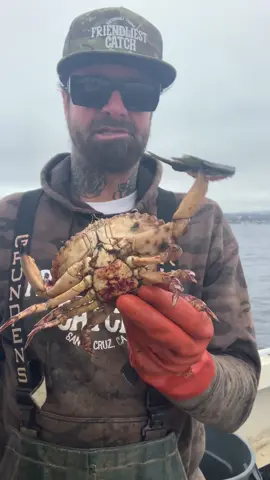 Removing Barnacles, You know how we roll! The Barnacle Chronicles & Recycled Crab Bait #crab #barnacleremoval #seafood #rockhold #friendliestcatch #commercialfishing 