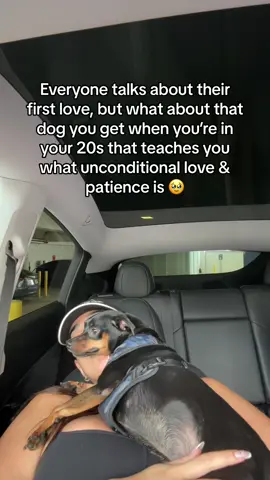 I love him 🥹 #dogsoftiktok #dogs #minpin #fyp #fy 